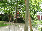 IMG_0043.jpg: 1100x825, 222k (February 22, 2020, at 09:28 PM EST)