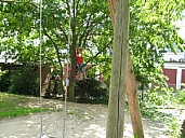 IMG_0043_sm.jpg: 300x225, 20k (February 22, 2020, at 09:28 PM EST)