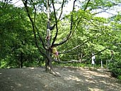 IMG_0065_sm.jpg: 300x225, 20k (February 22, 2020, at 09:28 PM EST)