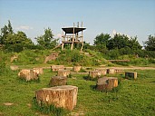 IMG_0096.jpg: 1100x825, 147k (February 22, 2020, at 09:28 PM EST)