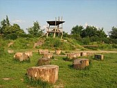 IMG_0096_sm.jpg: 300x225, 11k (February 22, 2020, at 09:28 PM EST)