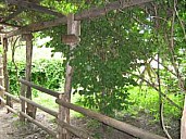 IMG_0158_sm.jpg: 300x225, 19k (February 22, 2020, at 09:28 PM EST)