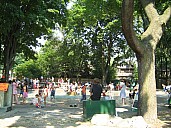IMG_0427.jpg: 1100x825, 223k (February 22, 2020, at 09:28 PM EST)