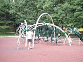 P8170093_sm.jpg: 300x225, 14k (February 22, 2020, at 09:28 PM EST)