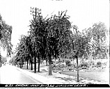 Photo_Dufferin-Grove-Park-1934_04_lg.jpg: 1050x852, 175k (February 22, 2020, at 09:28 PM EST)